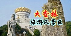 操骚逼网站中国浙江-绍兴大香林旅游风景区